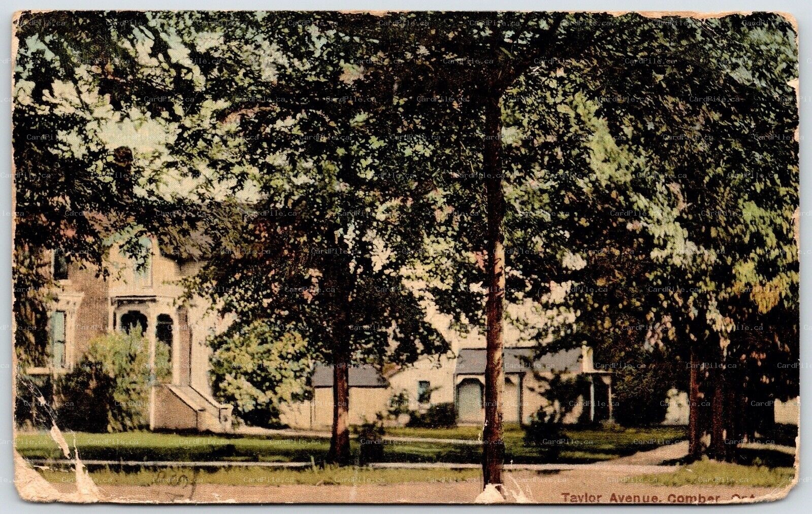 Postcard Comber Ontario c1916 Taylor Avenue Essex County to Lafleche SK Stedman
