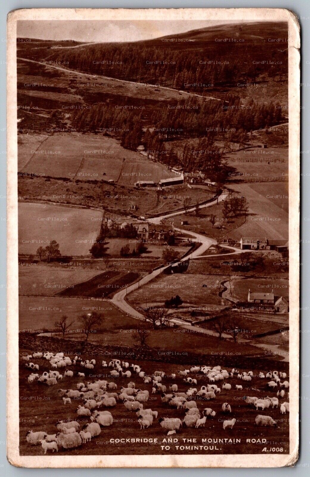 Postcard Banffshire Scotland c1930s Cockbridge and Mountain Road Tomintoul RPPC