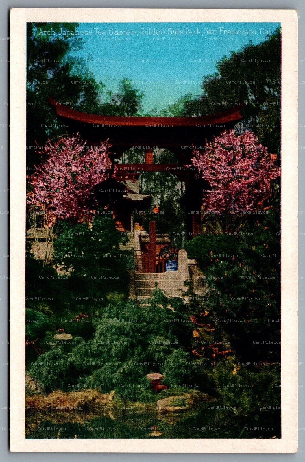 Postcard San Francisco CA c1930s Arch Japanese Tea Garden Golden Gate Park