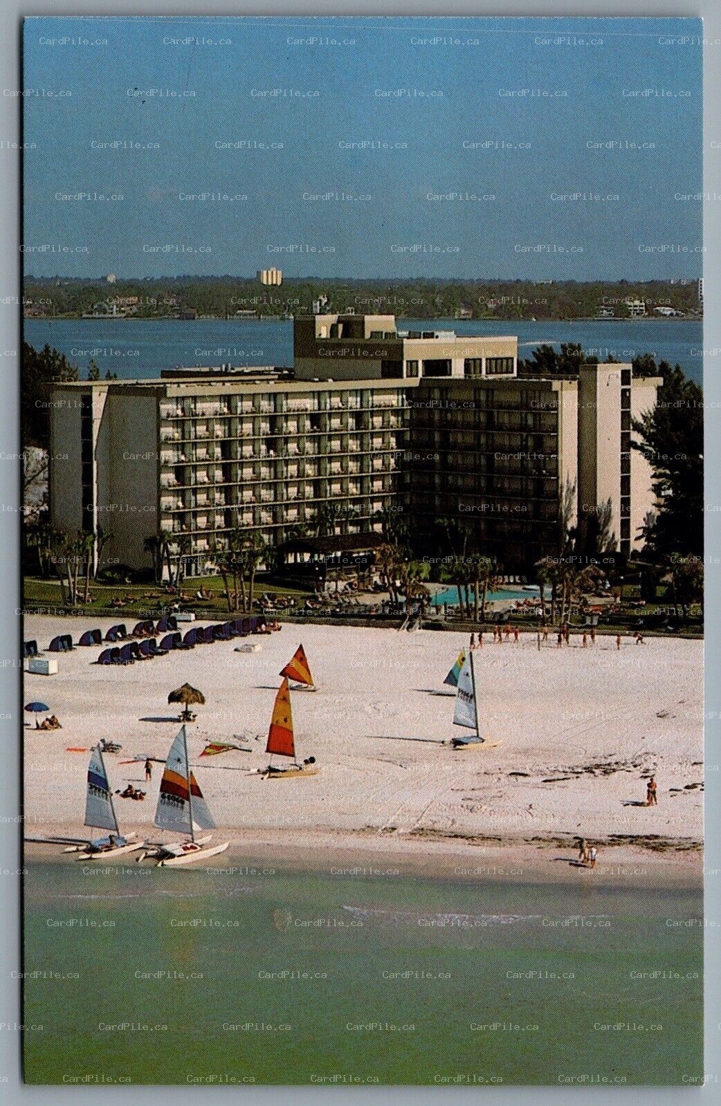 Postcard Clearwater Beach FL c1960s Sheraton Sand Key Resort Advertisement