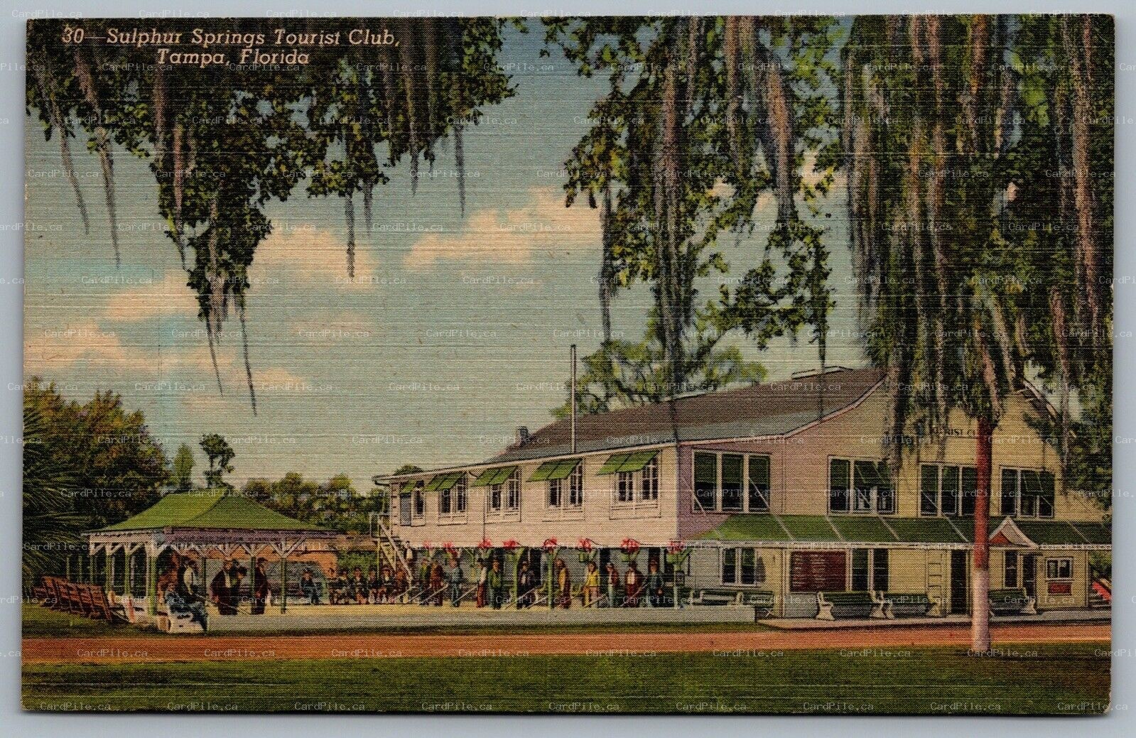 Postcard Tampa Florida c1959 Sulphur Springs Tourist Club Hillsboro River