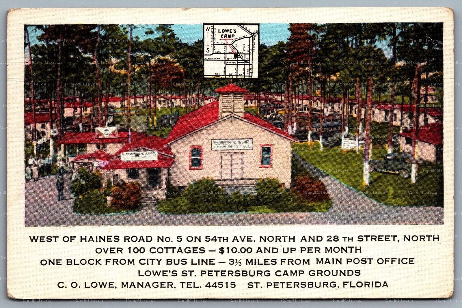 Postcard St Petersburg FL c1920s Lowe's Camp Cottages Camps Advertisement
