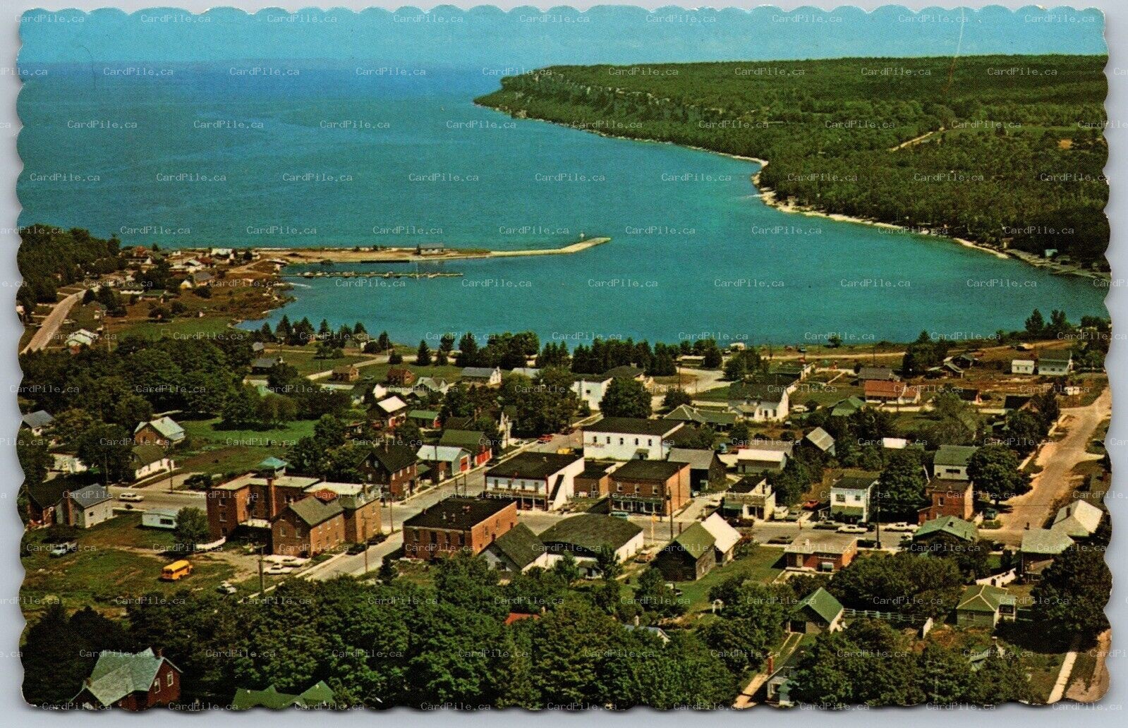 Postcard Bruce Peninsula Ontario c1960s Aerial View Lion