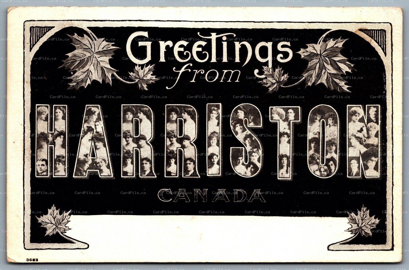 Postcard c1909 Greetings From Harriston Canada Ontario Large Letter Warwick