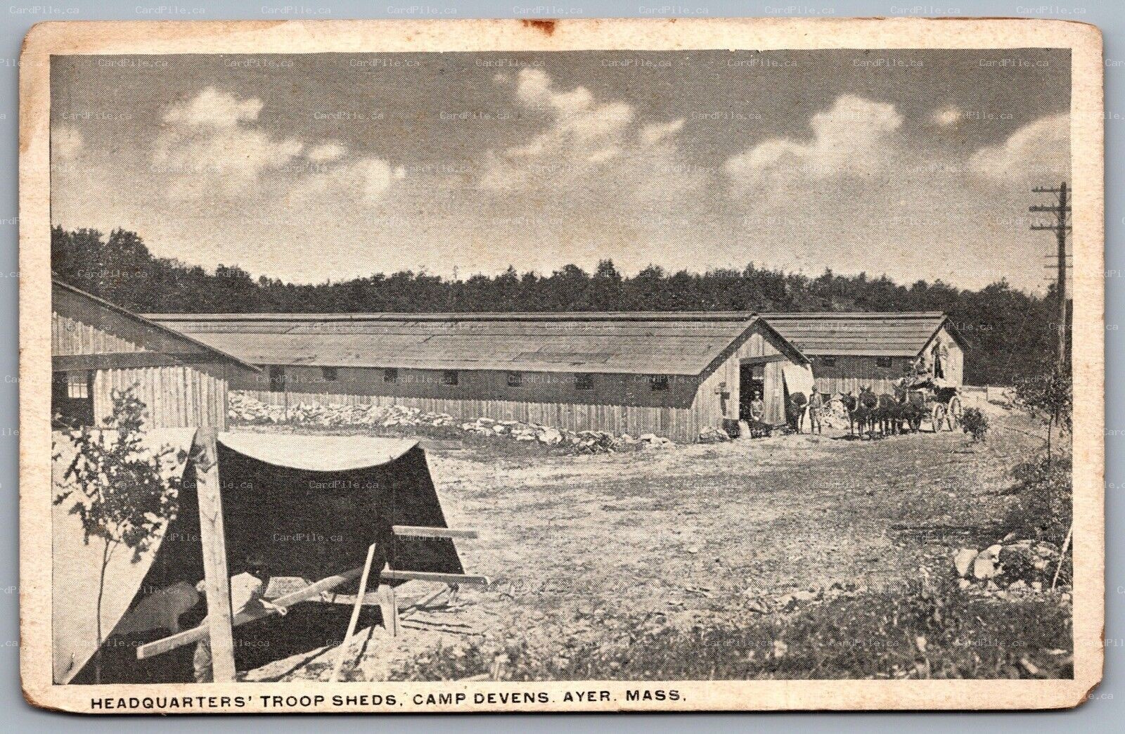 Postcard Ayer MA c1918 Camp Devens Headquarters Troop Sheds Horse Carriage Buggy