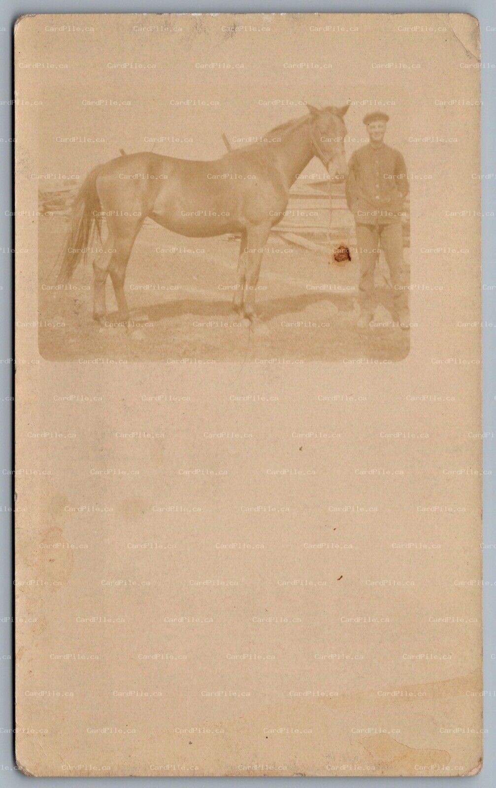 Postcard RPPC c1910s Photo Of a Man And A Horse Real Photo Postcard