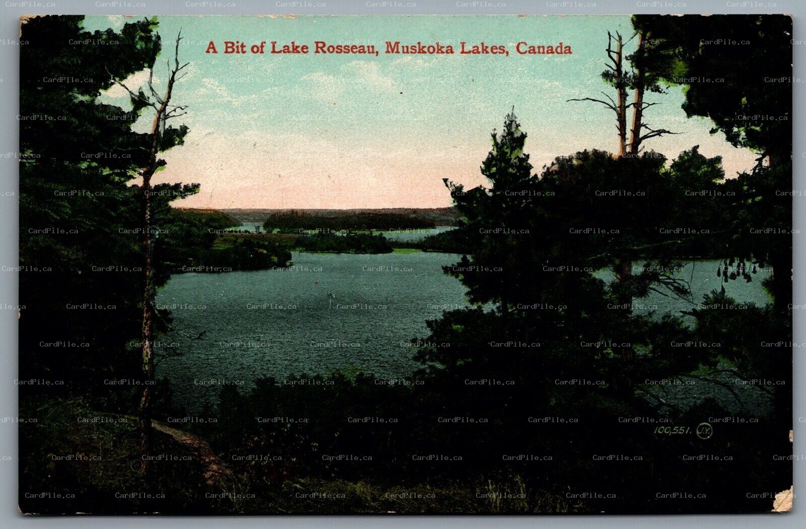 Postcard Muskoka Lakes ON c1910 Lake Rosseau Split Ring Duplex Cancel Ellesmere