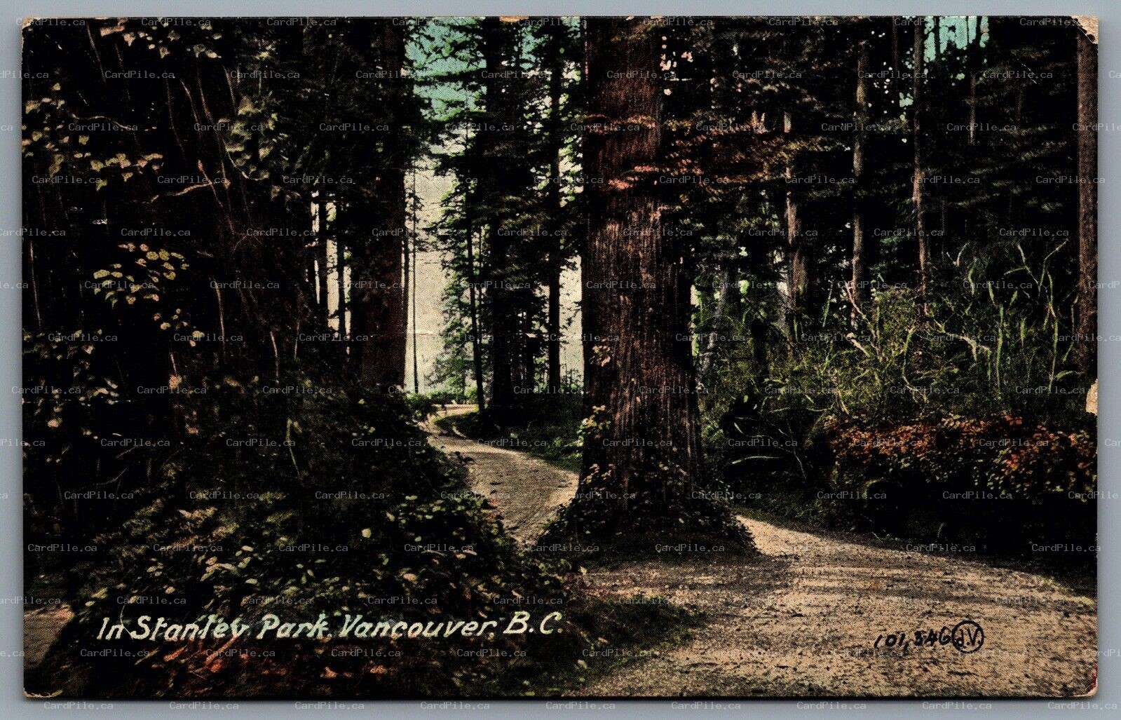 Postcard Vancouver BC c1910  In Stanley Park CDS Machine Cancel Vancouver