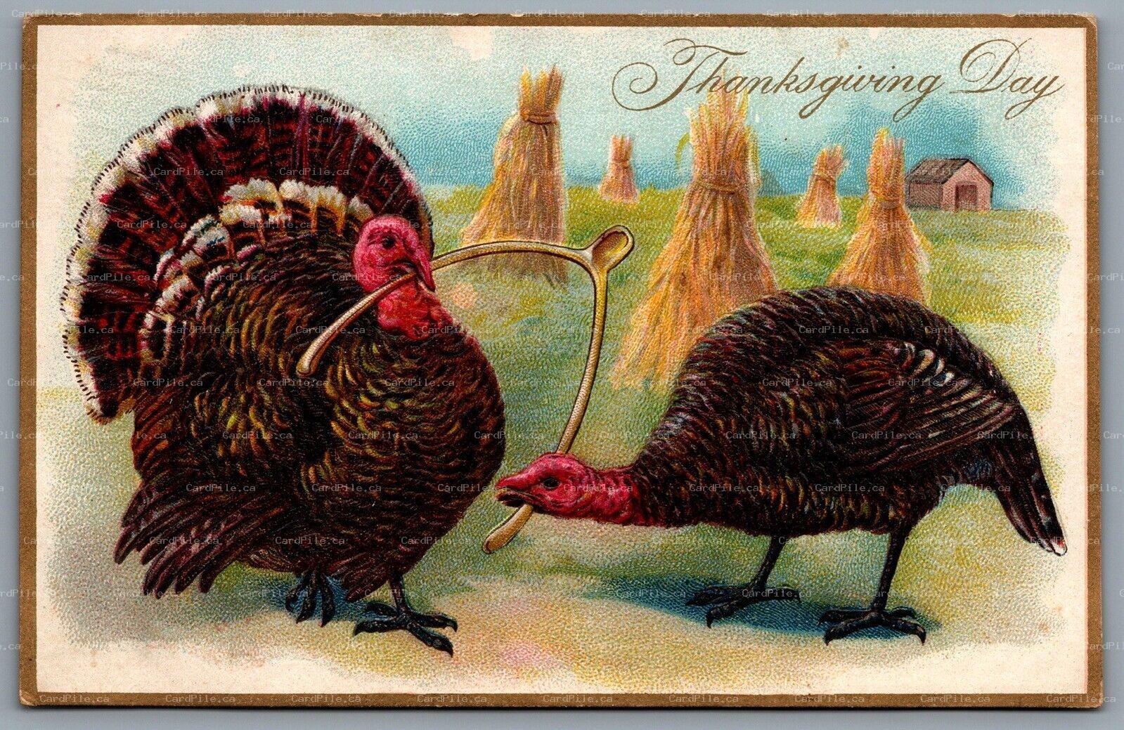 Postcard c1909 Thanksgiving Day Wishbone Tucks CDS Duplex Cancel Uxbridge