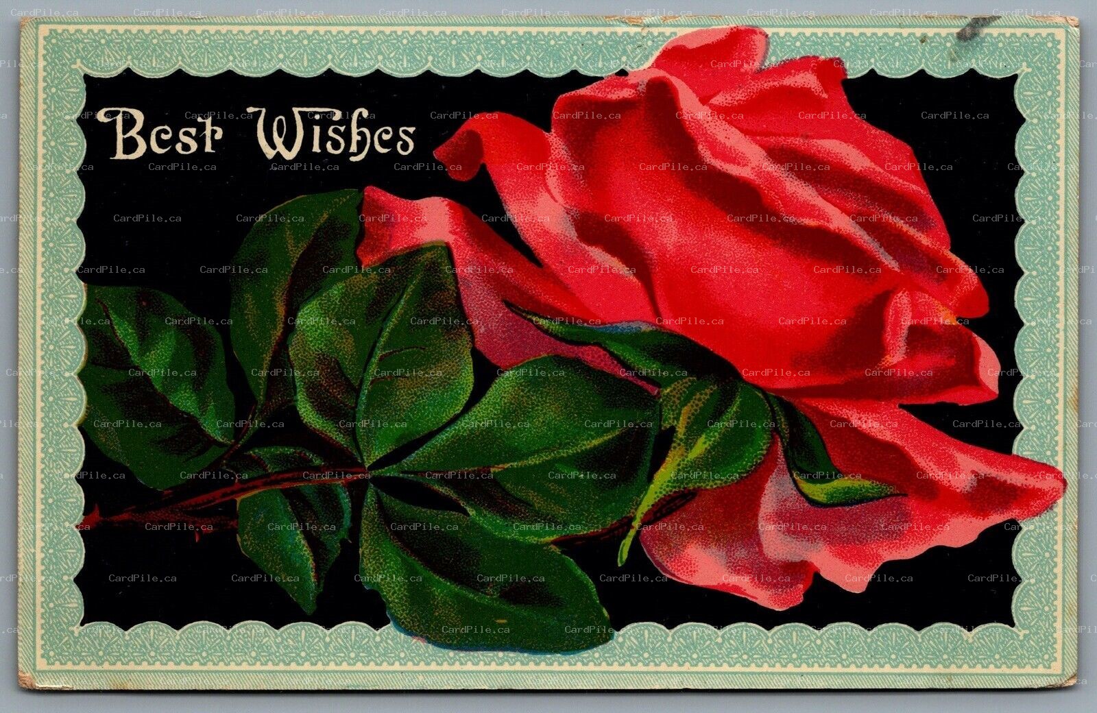 Postcard c1910 Best Wishes Red Rose CDS Duplex Cancel Uxbridge Ontario