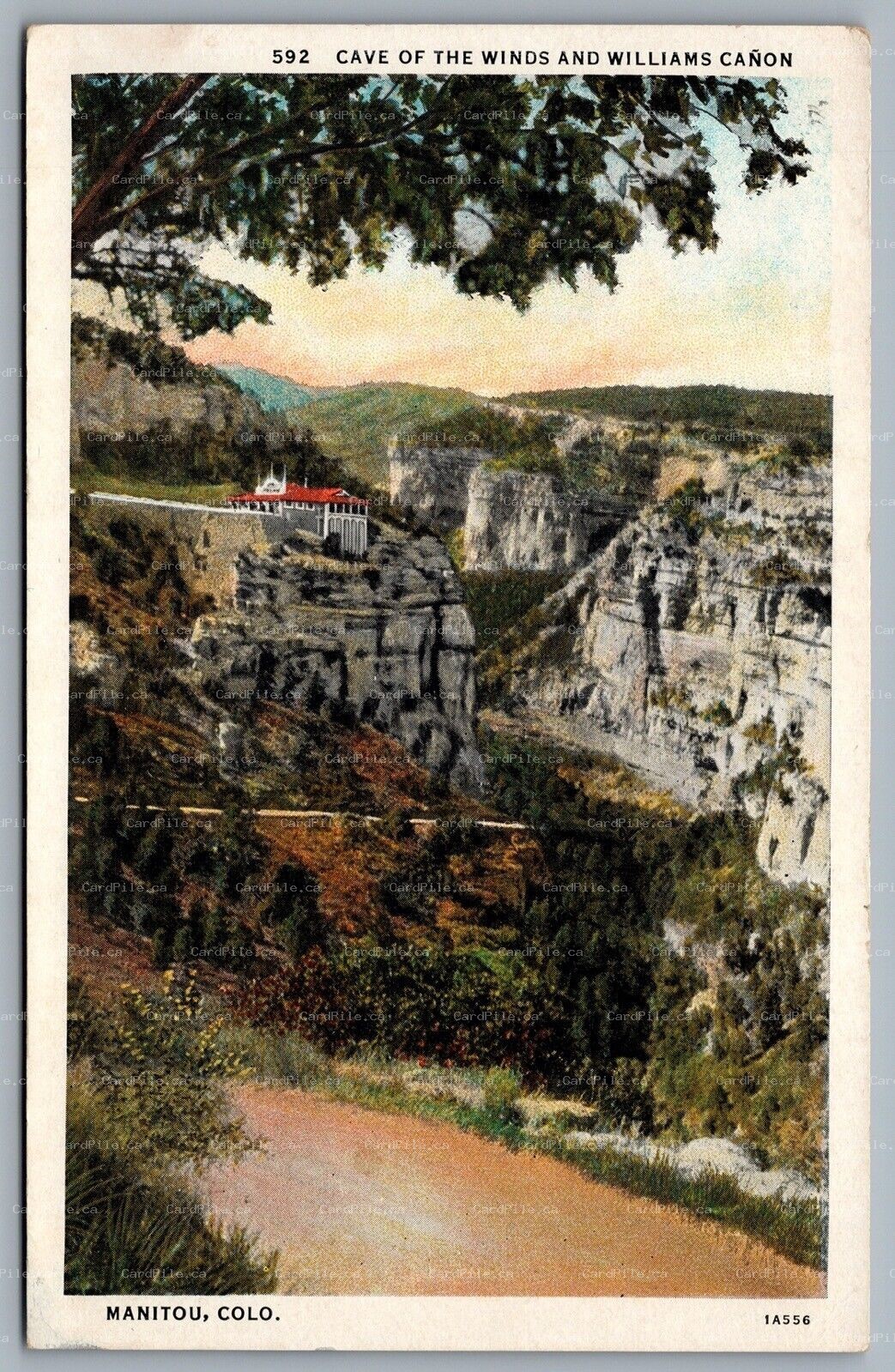 Postcard Manitou CO c1920s Cave Of The Winds And Williams Cañon