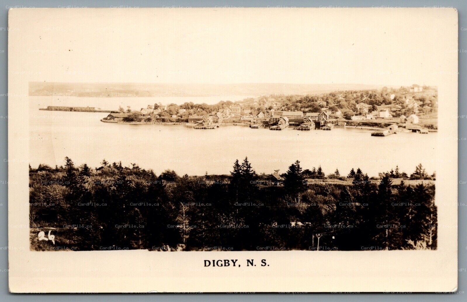 Postcard RPPC c1930s Digby Nova Scotia Digby Gut Bay of Fundy Harbor View 