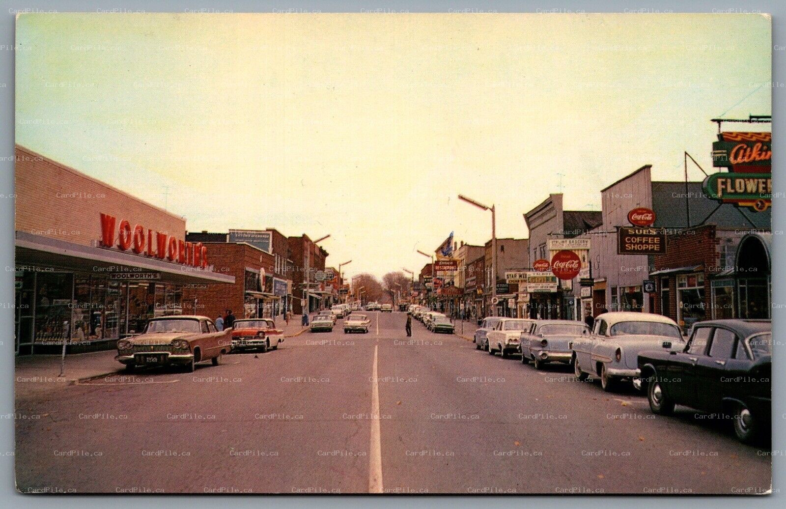 Postcard Leamington Ontario c1970 Talbot St Looking East Woolworths Shops Signs