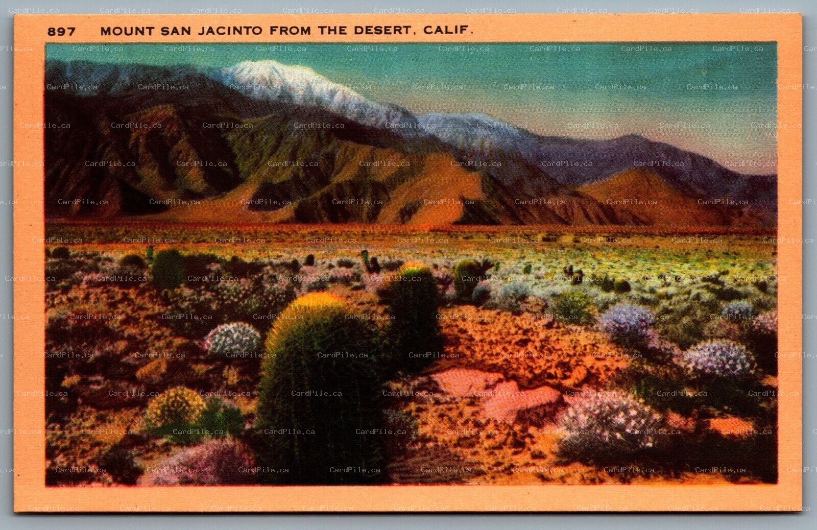 Postcard c1940s California Mount San Jacinto From The Desert Unsed Scenic View