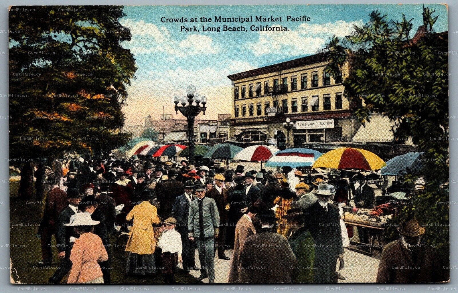 Postcard Long Beach CA c1910s Crowds At The Municipal Market Pacific Park