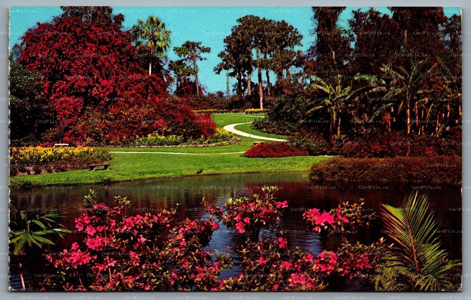 Postcard Cypress Gardens Florida c1964 America’s Tropical Wonderland Lake Eloise