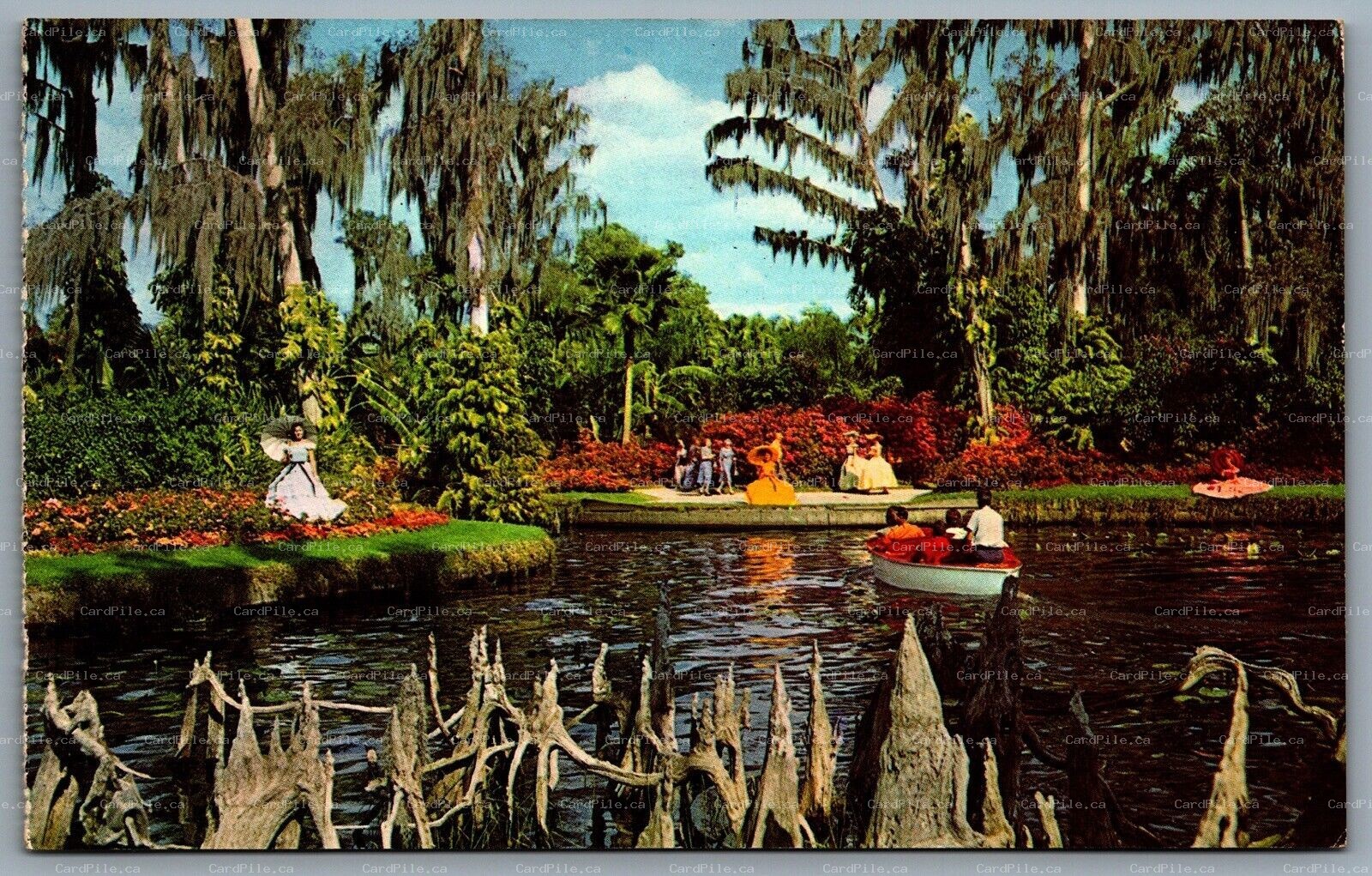 Postcard Cypress Gardens Florida 1962 Cypress Knees Ladies in Dresses Boat
