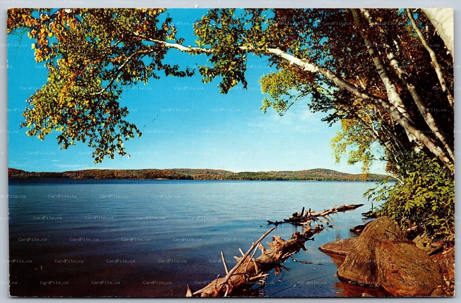 Postcard Muskoka Ontario c1961 Greeings From Thorel House Split Ring Cancel