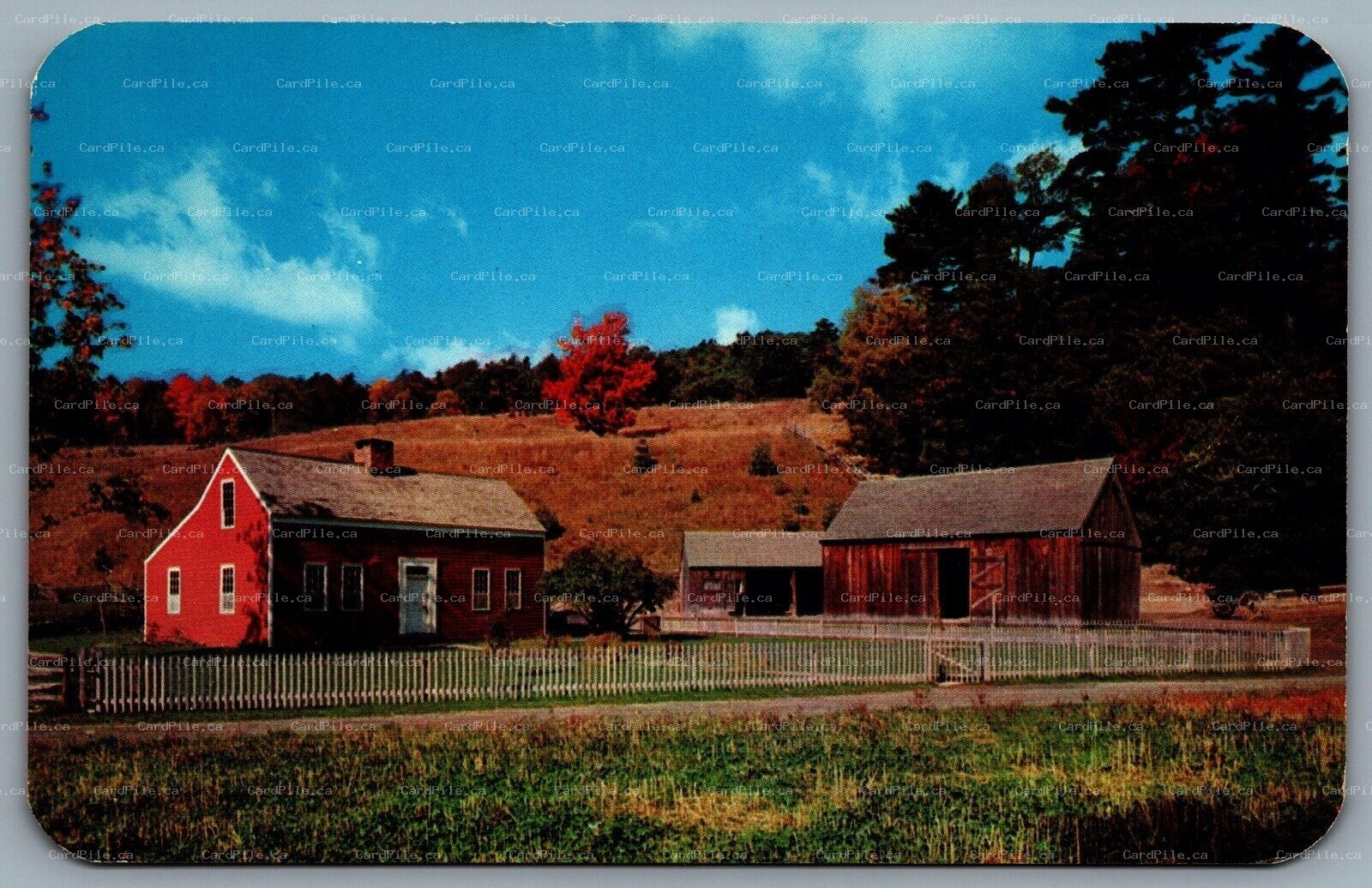 Postcard Cooperstown NY c1950s Lippitt Homestead Farmer’s Museum Hinman Hollow