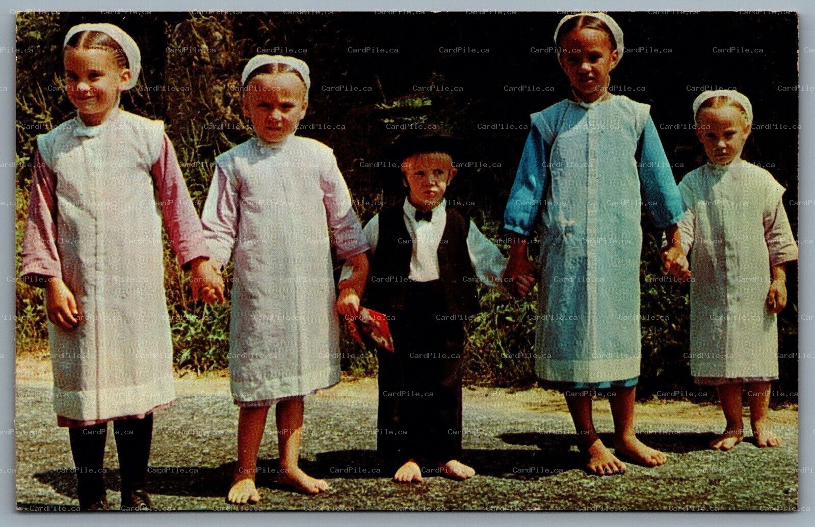 Postcard Pennsylvania c1960s Greetings From The Penna. Dutch Country Amish Kids