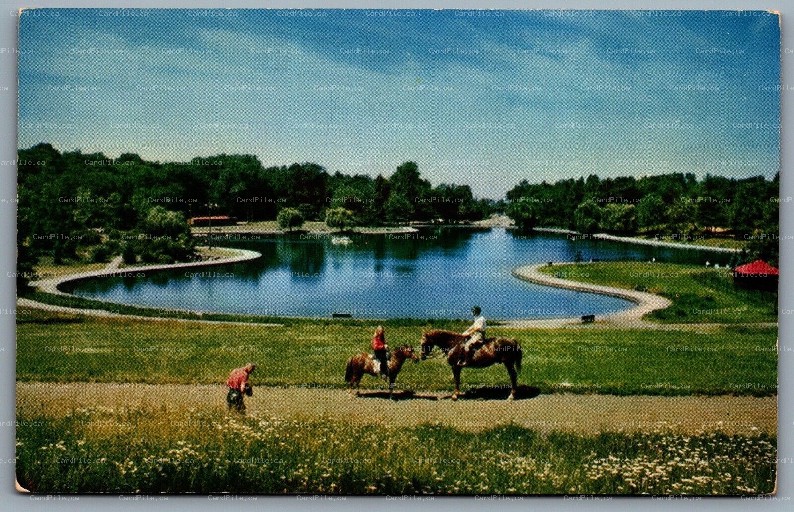 Postcard Montreal Quebec c1960s Beaver Lake Mt. Royal Park Lac-aux-Castors