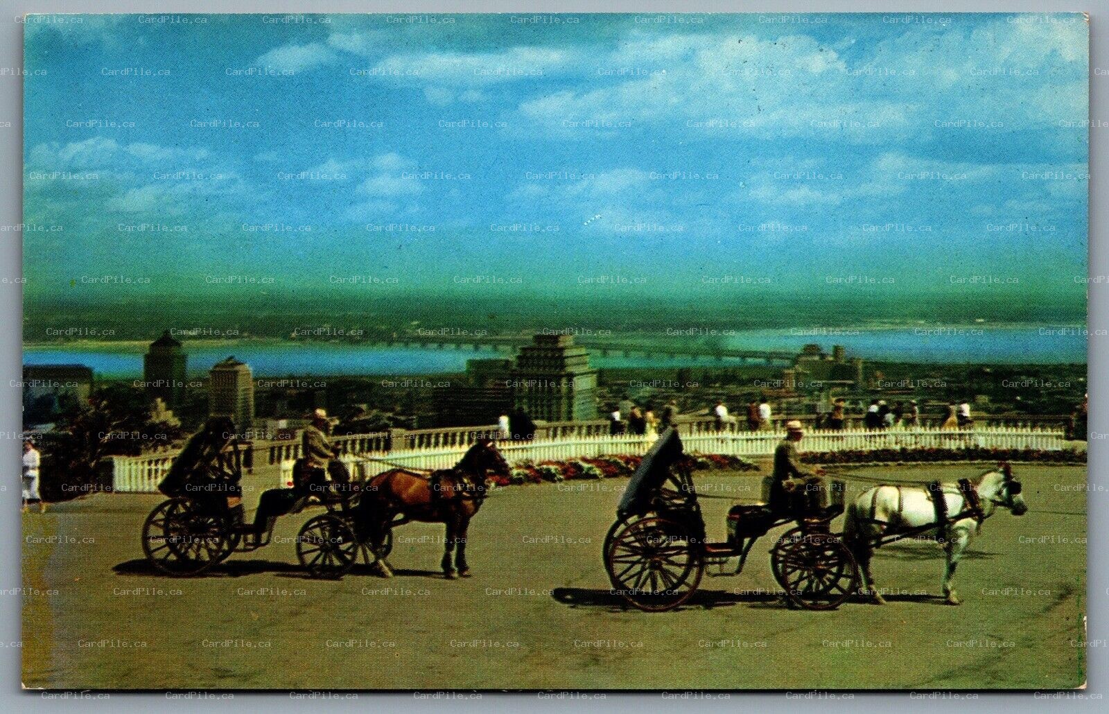 Postcard Montreal PQ c1950s Old French Horsedrawn Carriages on Mount Royal