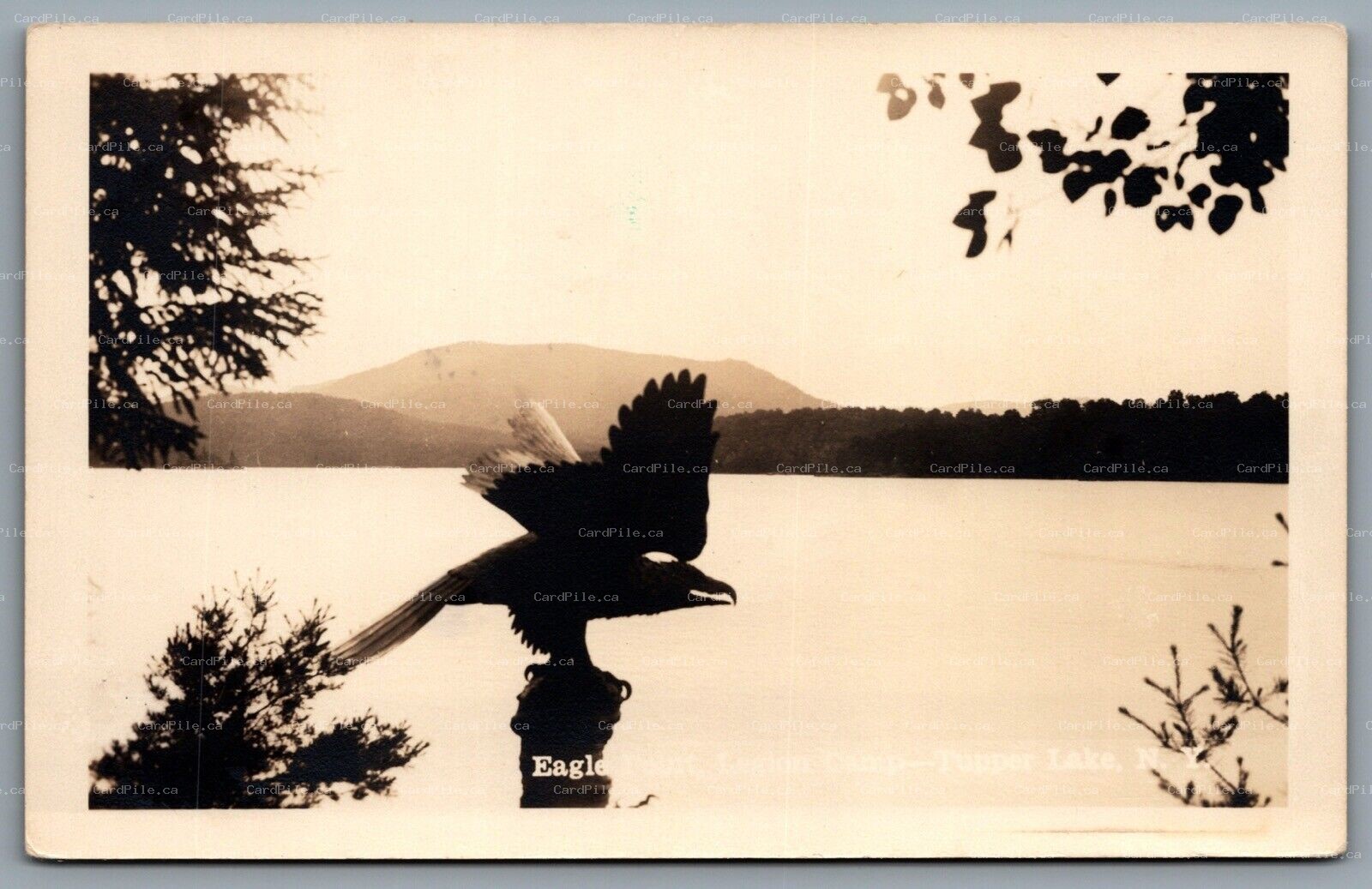 Postcard RPPC c1920s Tupper Lake NY Eagle Point Legion Camp Franklin County