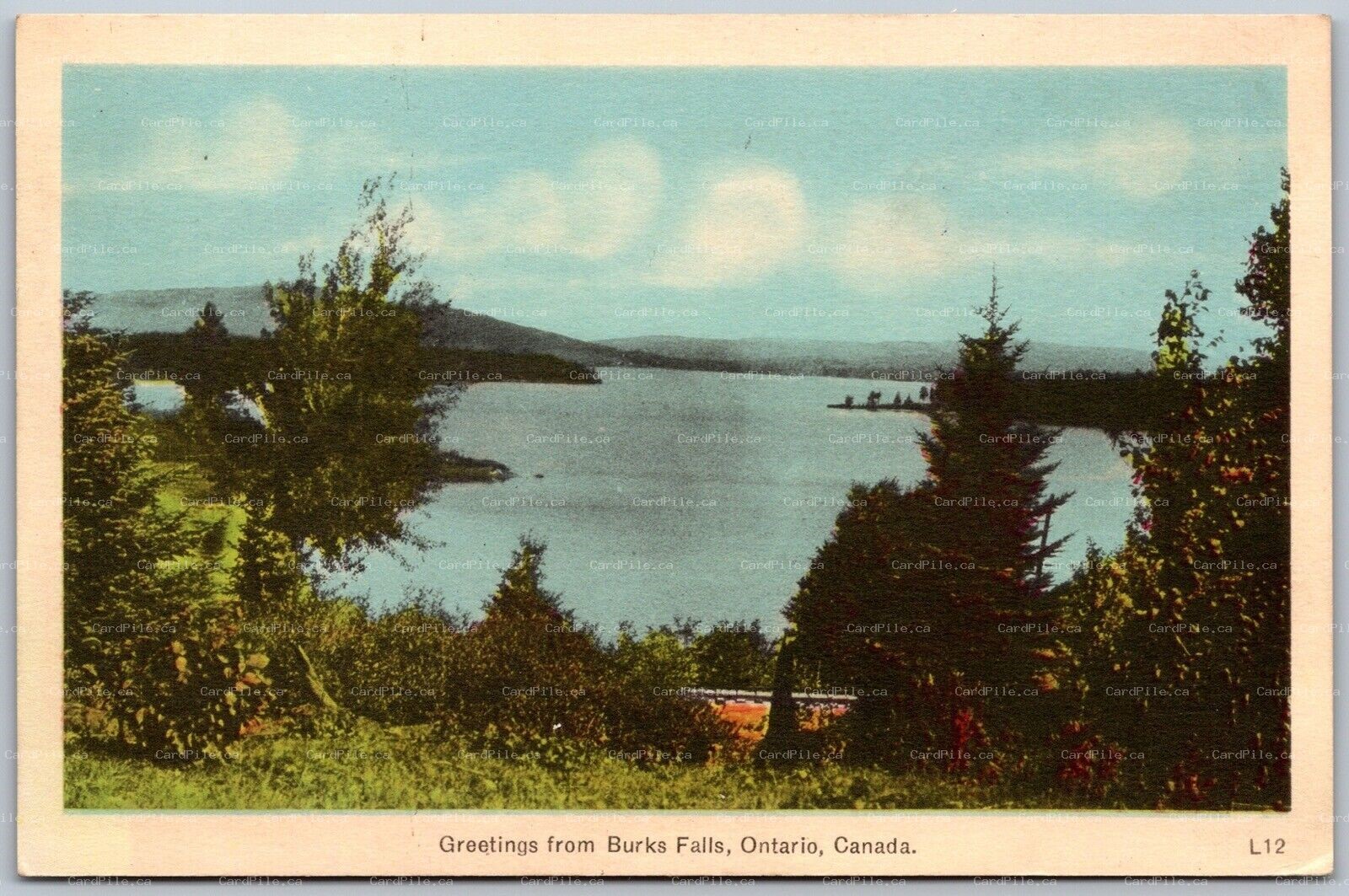 Postcard c1930s Greetings From Burk’s Falls Ontario Scenic View PSD by PECO