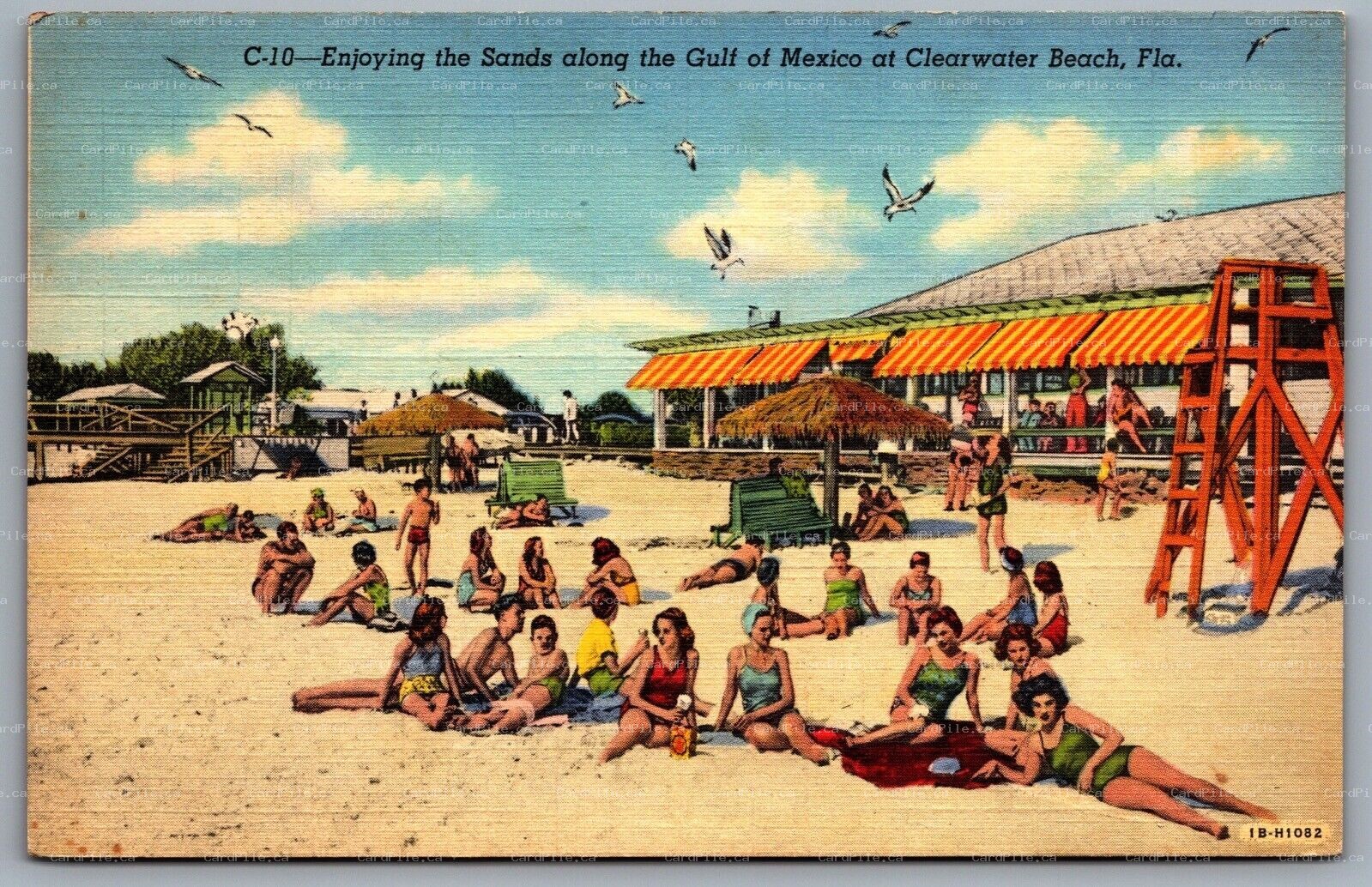 Postcard Clearwater Beach FL c1941 Enjoying the Sands Along the Gulf of Mexico