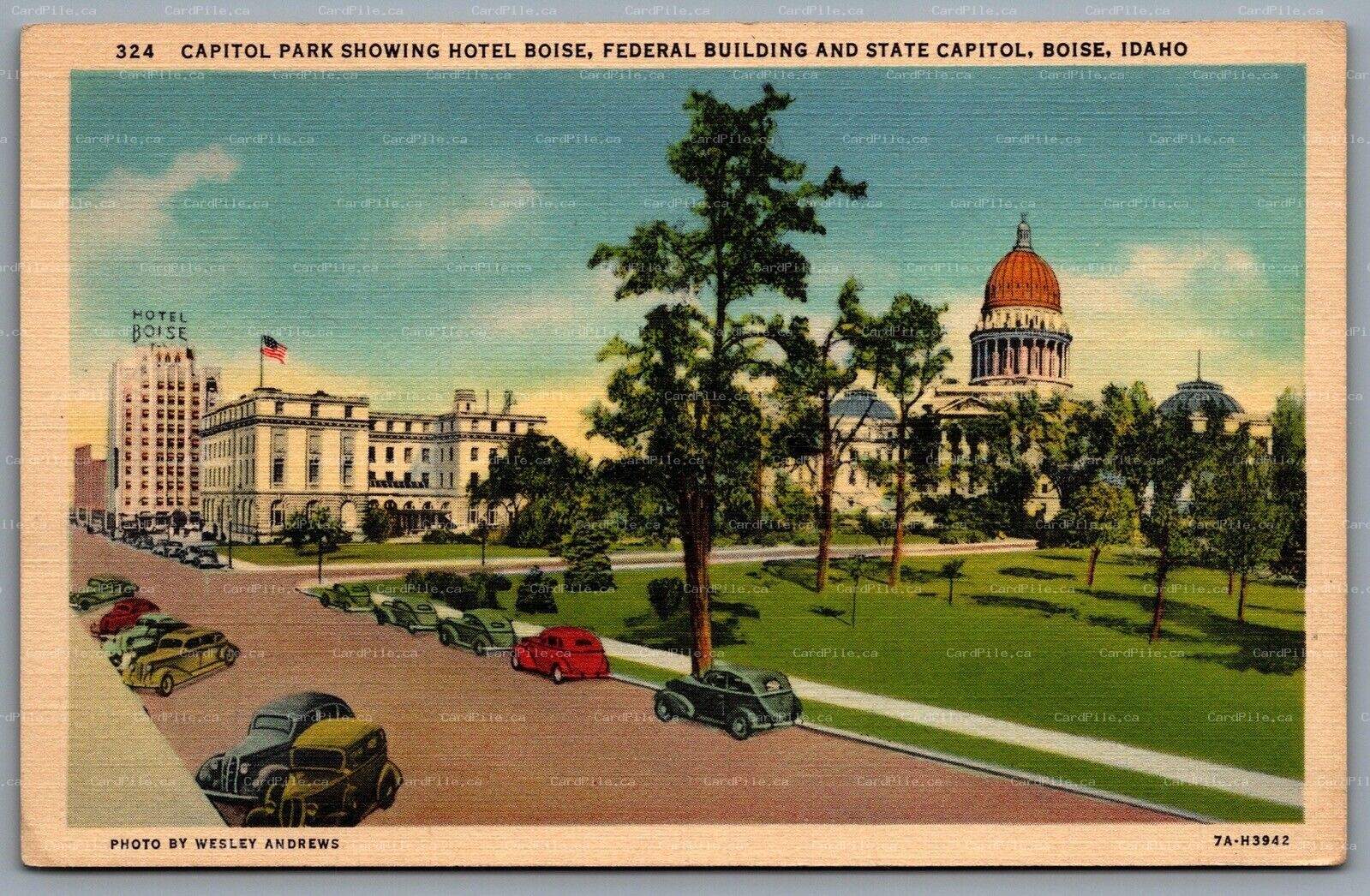 Postcard Boise ID c1937 Capitol Park Showing Hotel Boise Federal Building State
