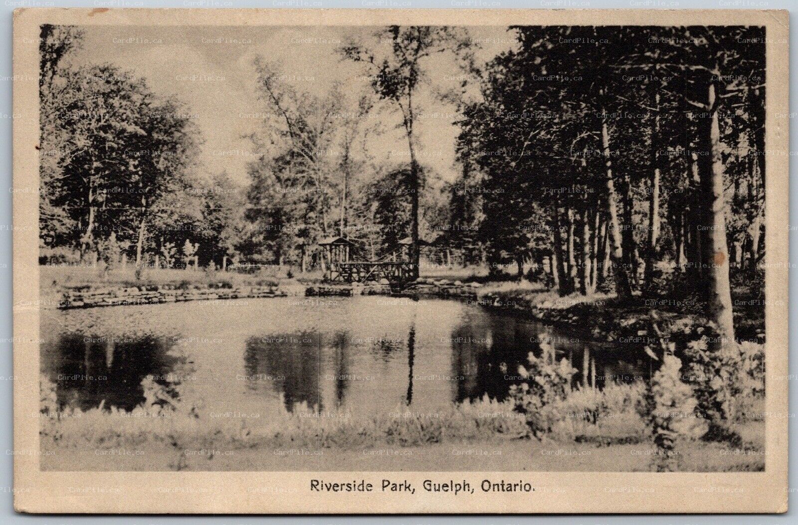 Postcard Guelph Ontario c1910s Riverside Park Wellington County by F. H. Leslie