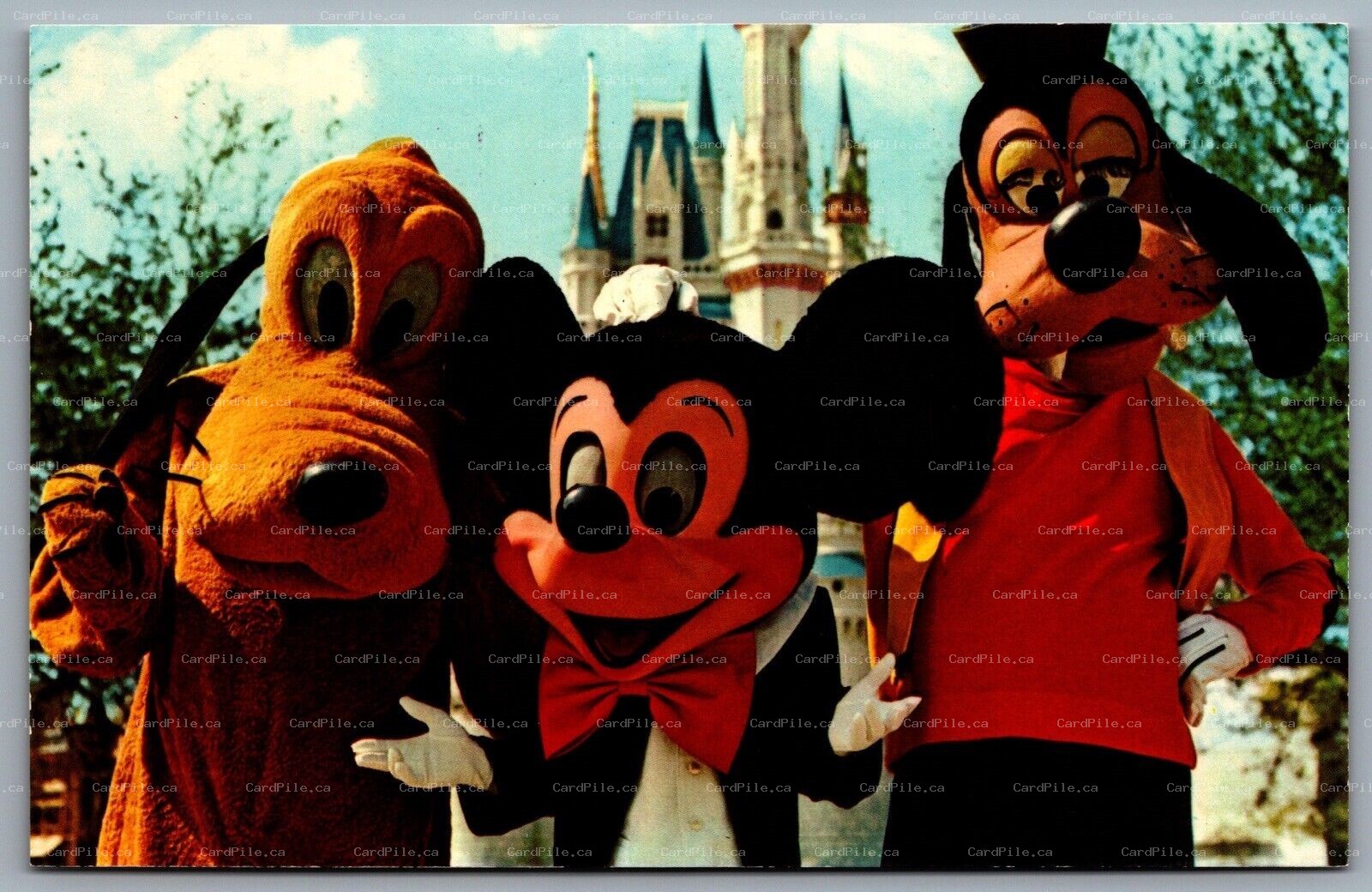 Postcard Walt Disney World FL Mickey Mouse Pluto Goofy 01110236 DP 79905-C