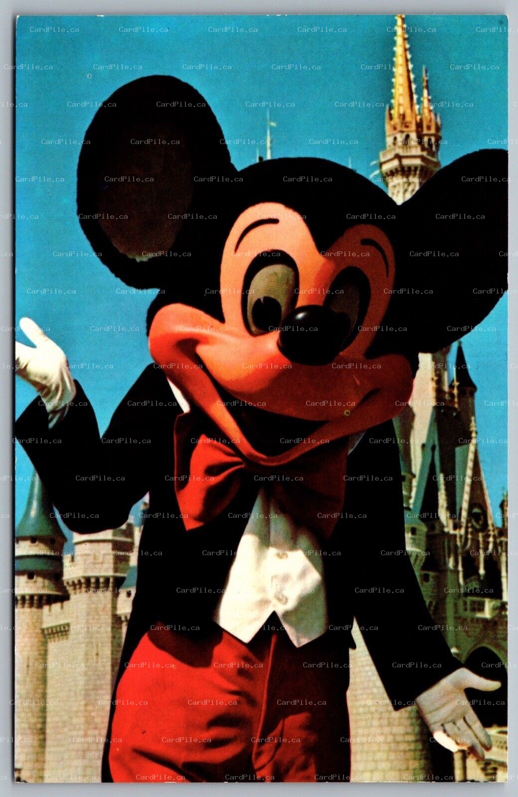 Postcard Walt Disney World FL Mickey Mouse Fantasyland 01110234 DP 79904-C