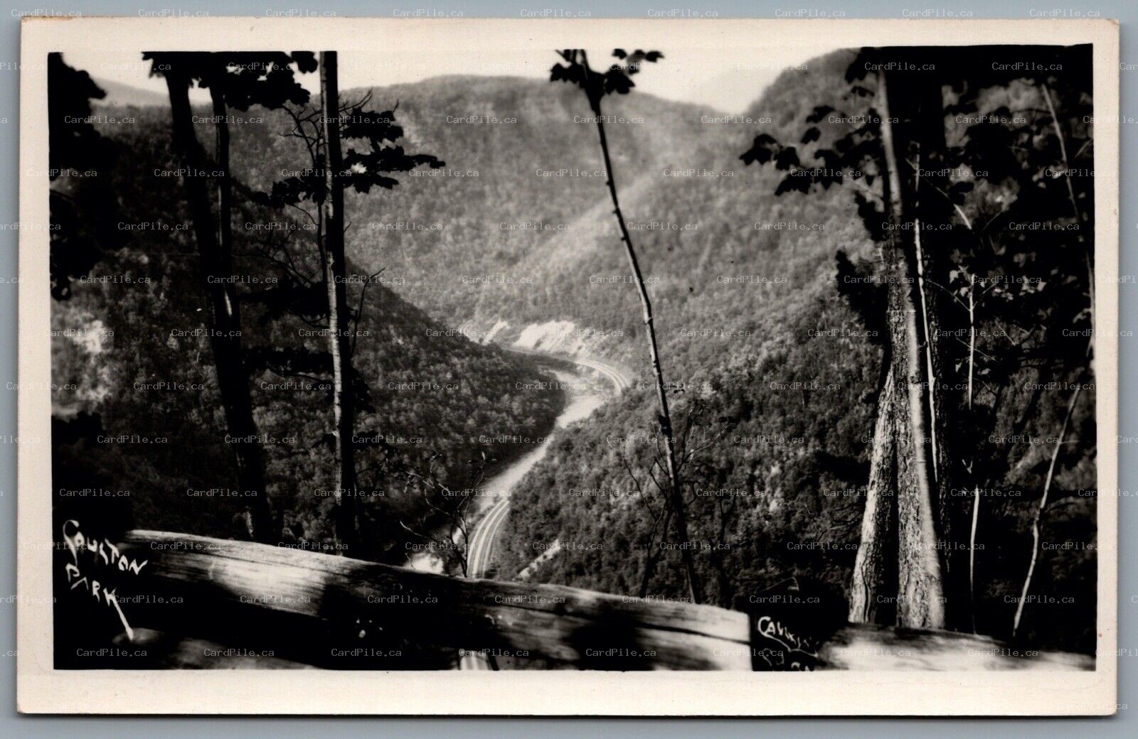Postcard Colton Point State Park PA 1950s Scenic View Pine Creek Railroad Tracks