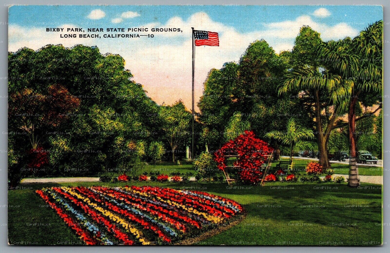 Postcard Long Beach CA c1940s Bixby Park Near State Picnic Grounds American Flag