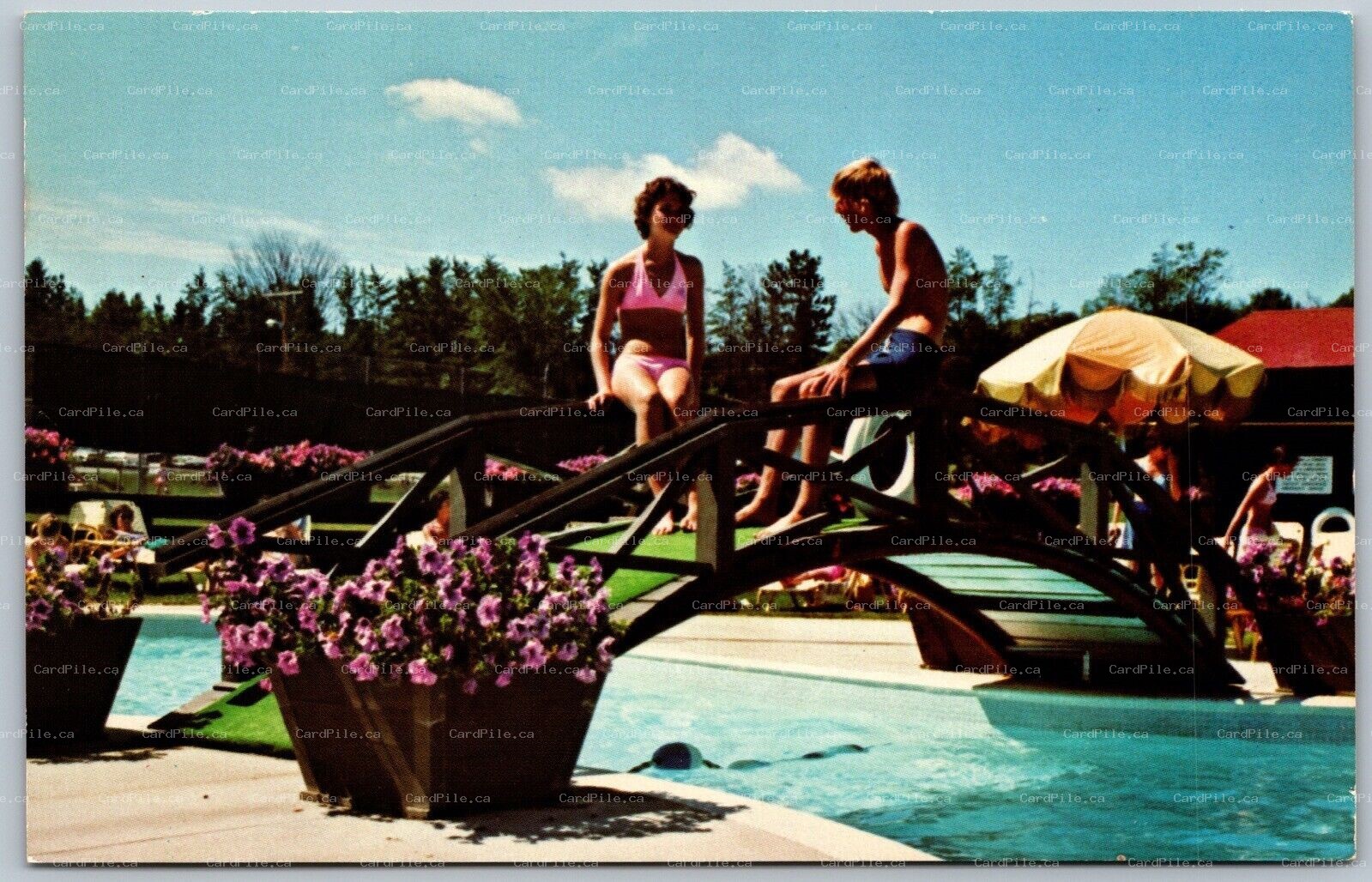Postcard Minett Ontario c1960s Clevelands House Swimming Pool Lake Rosseau