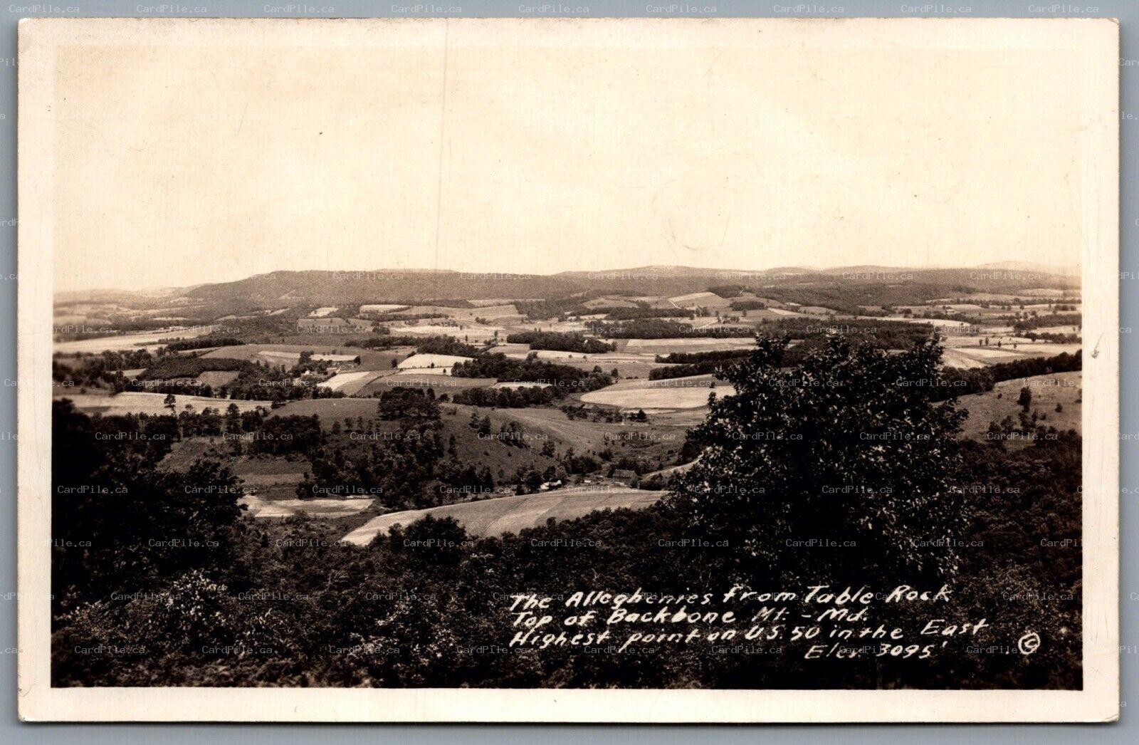 Postcard RPPC c1930s Maryland The Alleghenies From Table Rock Backbone Mt. 