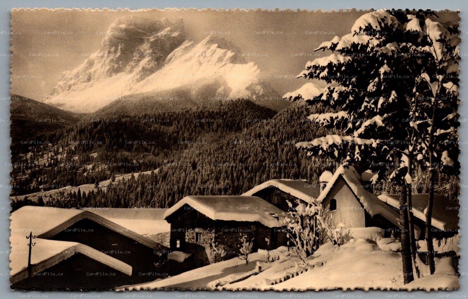 Postcard RPPC c1940s Turino? Italy Winter Scene Snow Covered Houses Mountains