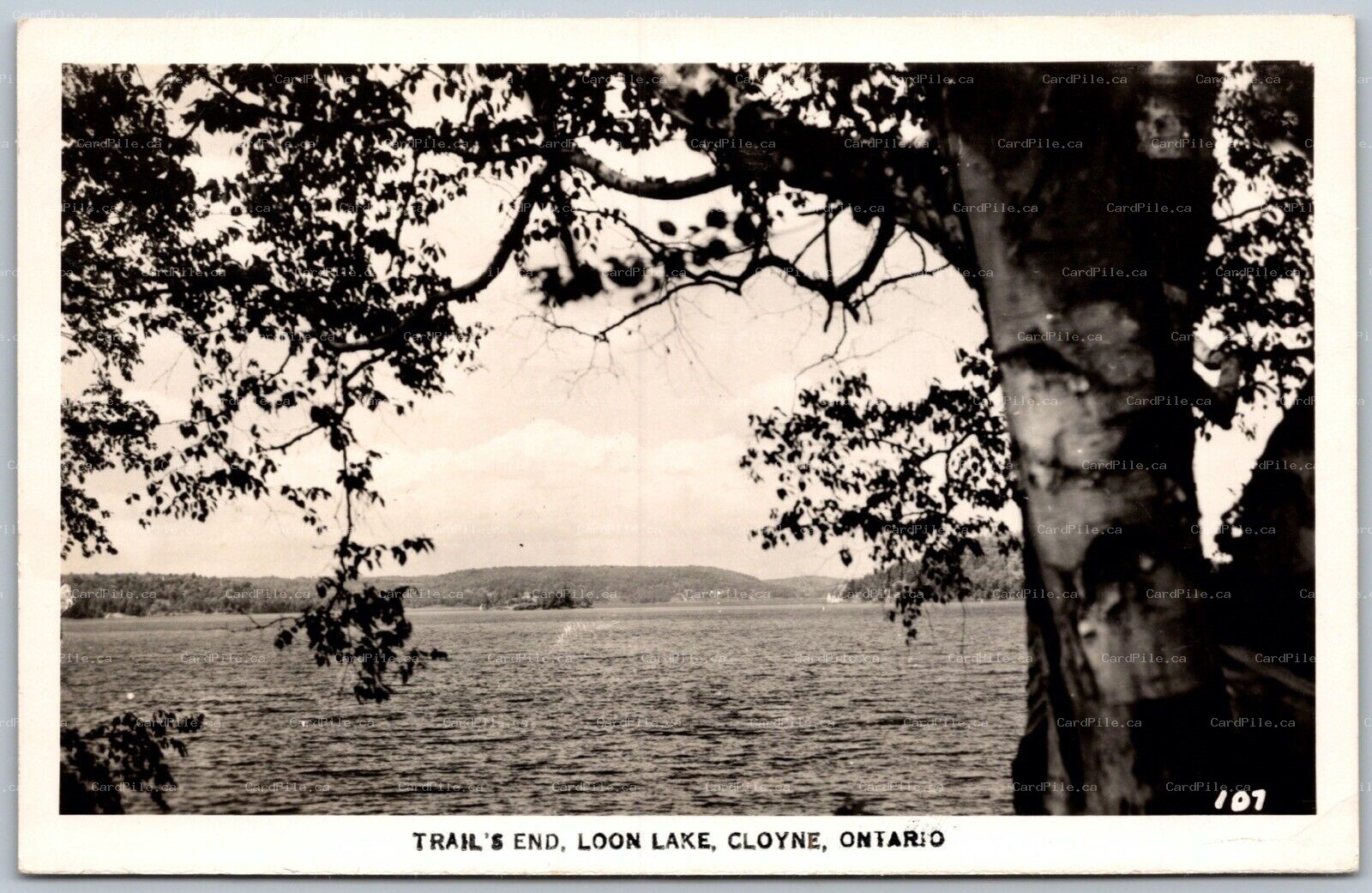 Postcard RPPC c1940s Cloyne Ontario Trail’s End Loon Lake Lennox & Addington Co.