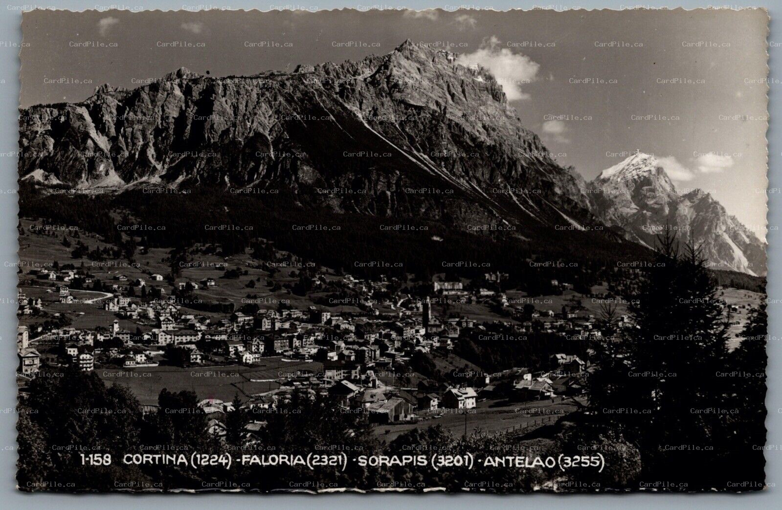 Postcard RPPC c1940s Italy View Of Dolomites Cortina Faloria Sorapis Antelao