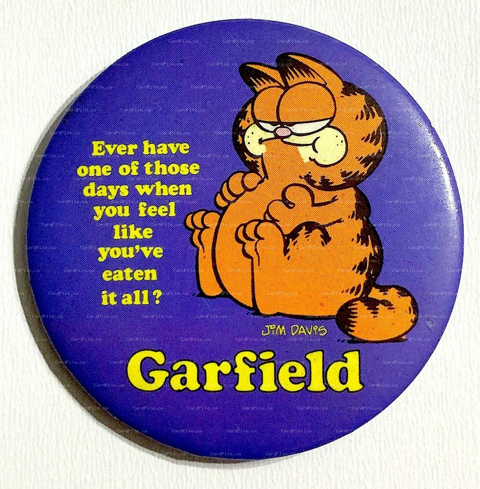 VINTAGE 1978 Garfield by Jim Davis Ever Have One of Those Days…. Pinback Button