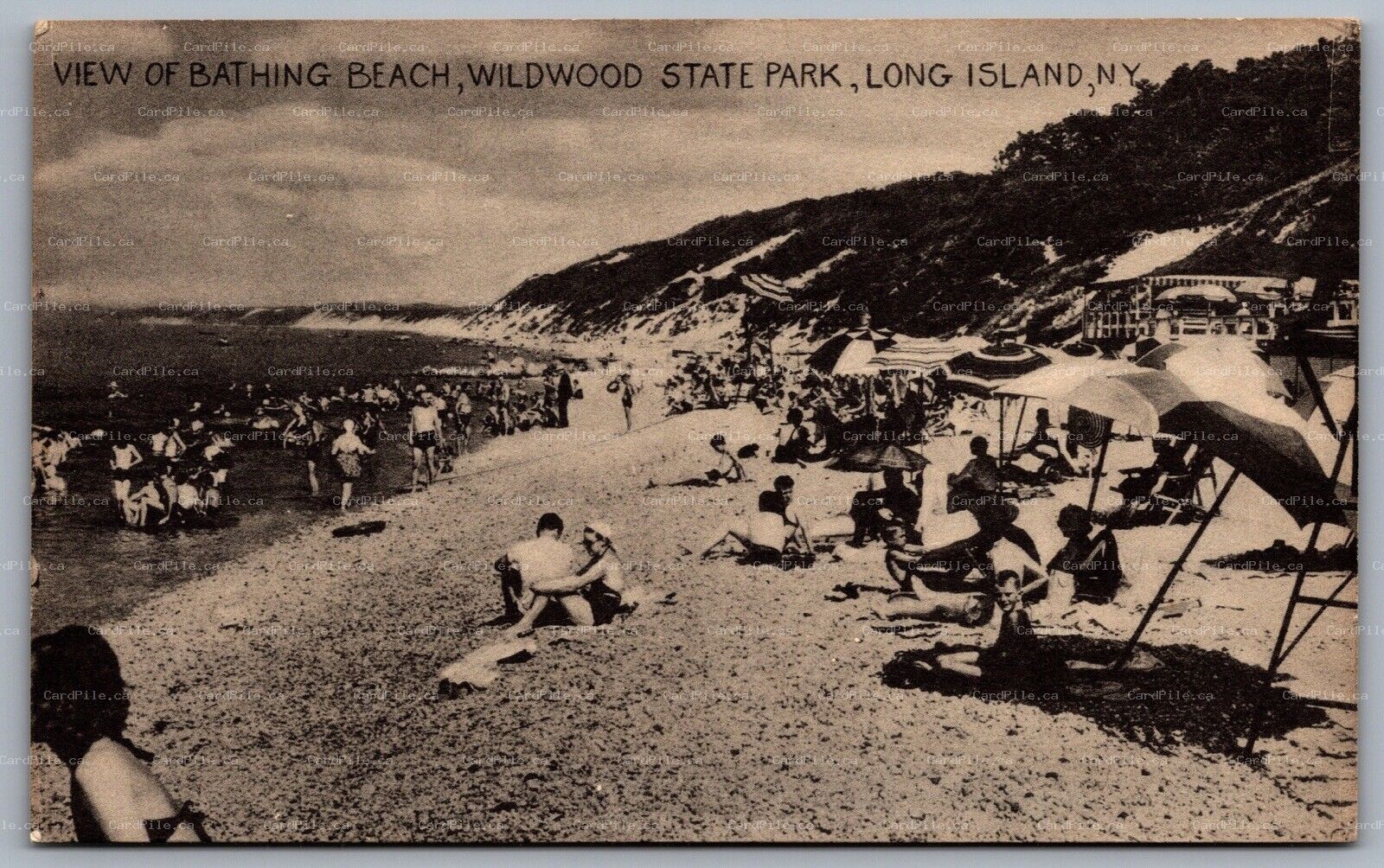 Postcard Long Island NY c1930s View of Bathing Beach Widwood State Park Bathers