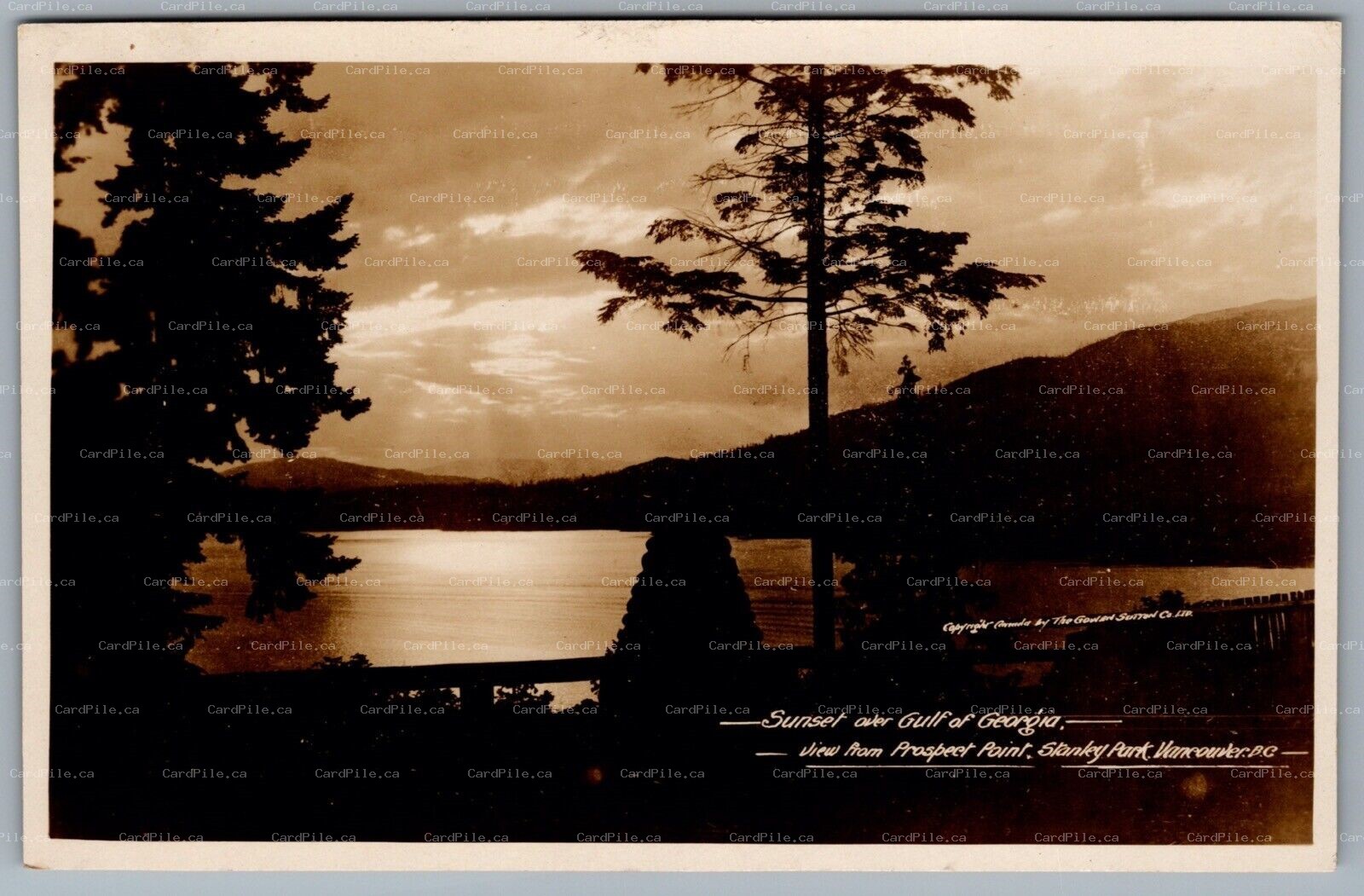 Postcard RPPC c1930s Vancouver BC Stanley Park Gulf Of Georgia Sunset Prospect .