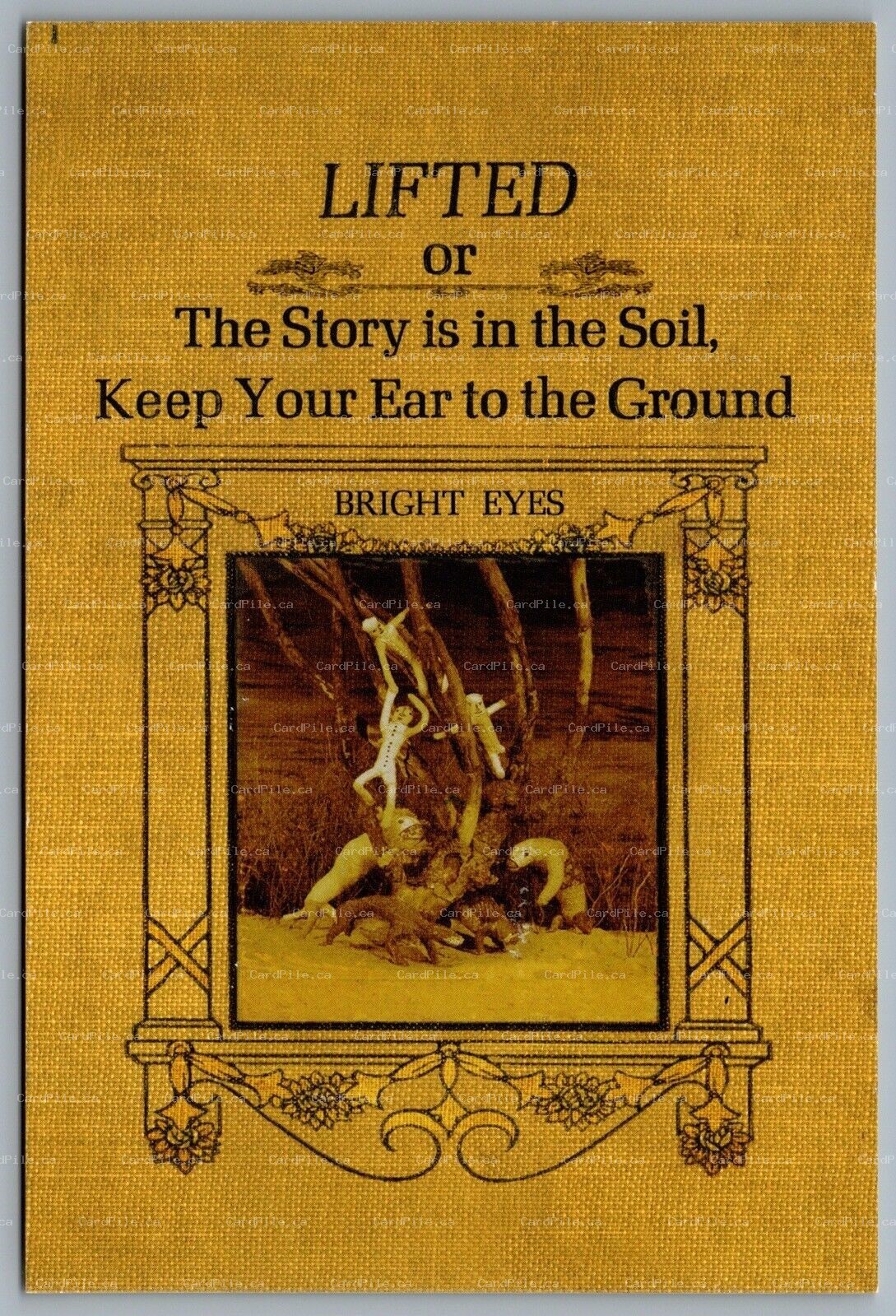 Postcard 2002 Lifted or The Story Is in the Soil … Promotional Advertisement