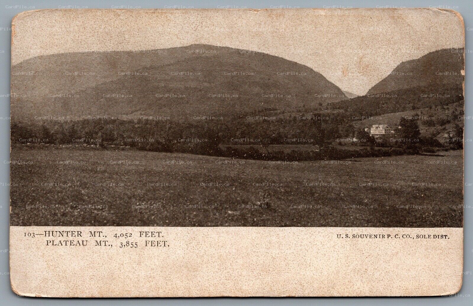 Postcard Hunter NY c1905 View of Hunter Mountain and Plateau Mountain