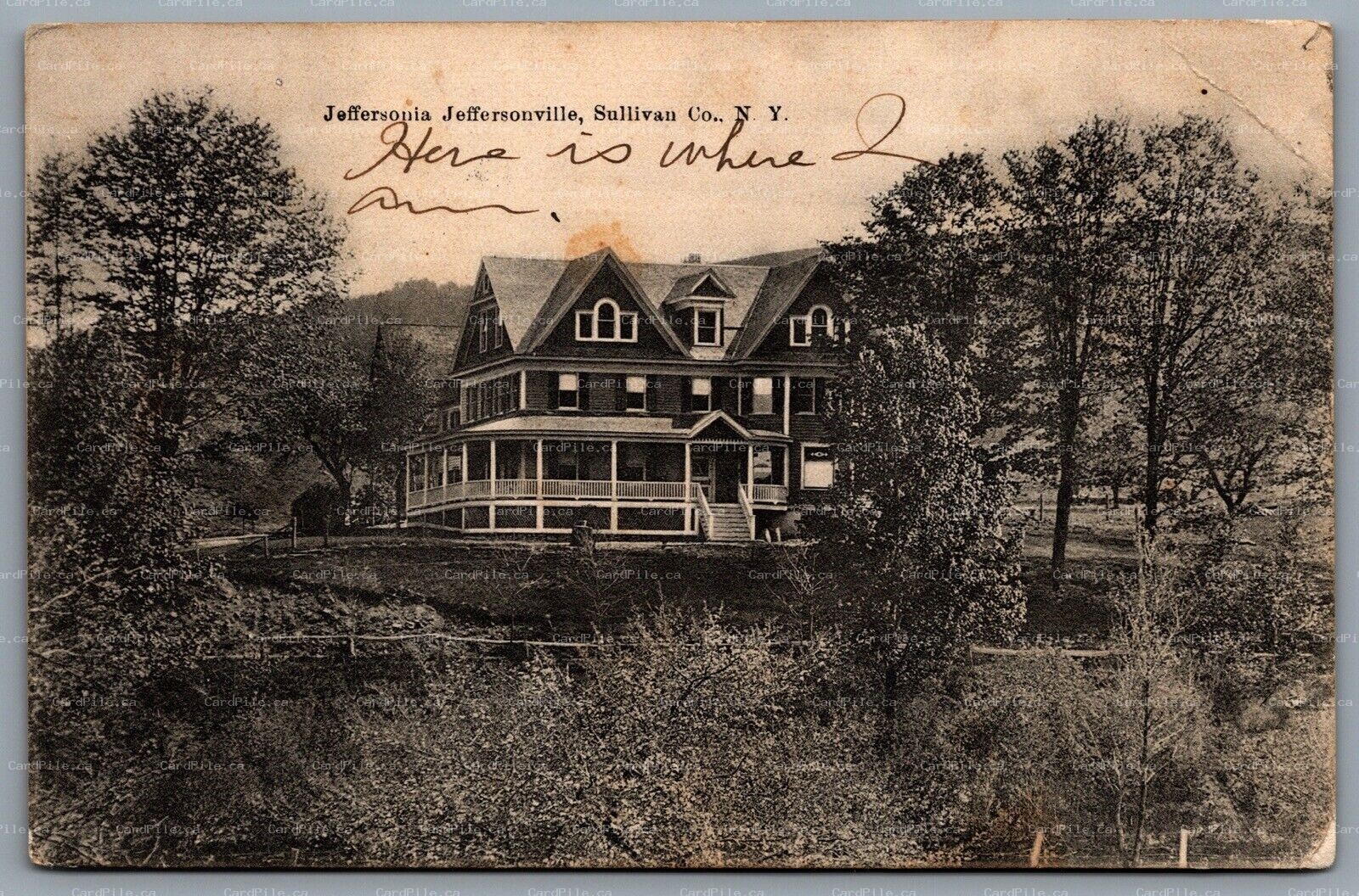Postcard Jeffersonville NY c1908 The Jeffersonia Hotel Sullivan County CDS