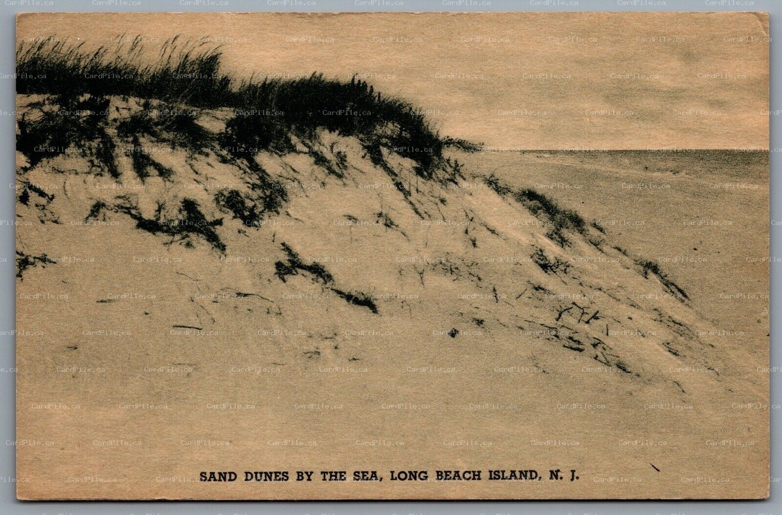 Postcard Long Beach Island NJ c1936 Sand Dunes by the Sea CDS Cancel