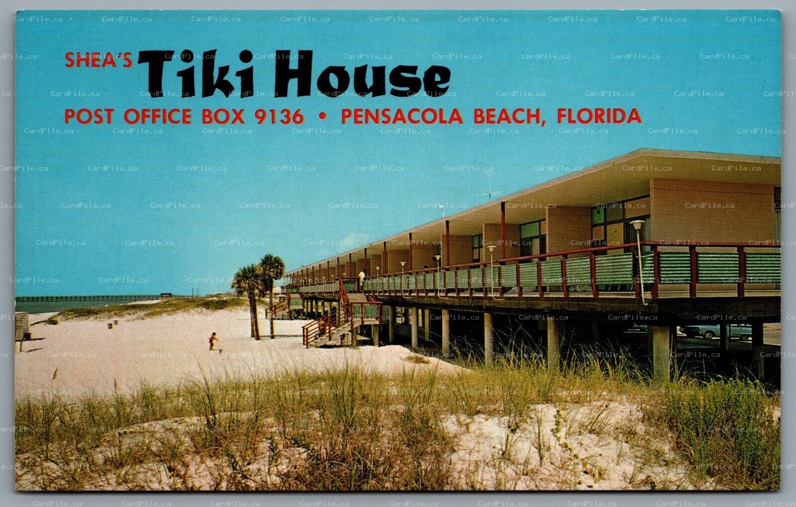 Postcard Pensacola Beach FL c1950s Shea