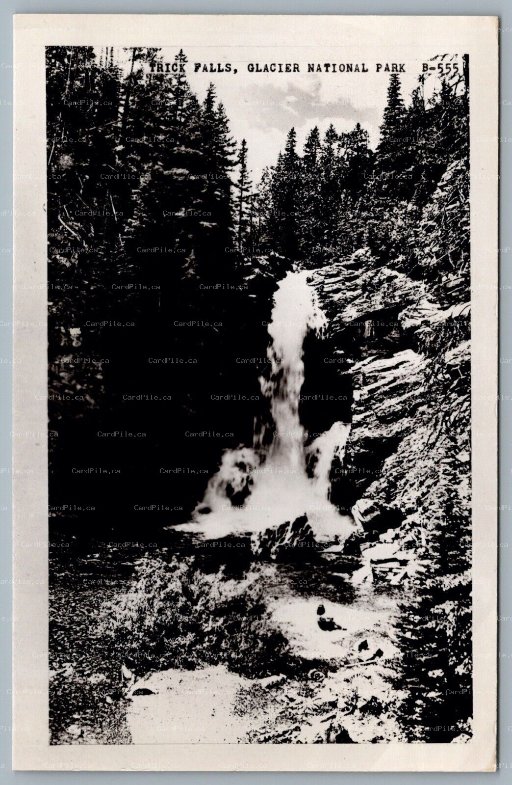 Postcard RPPC c1940s Trick Falls MT Glacier National Park Cecil Nixon Photo
