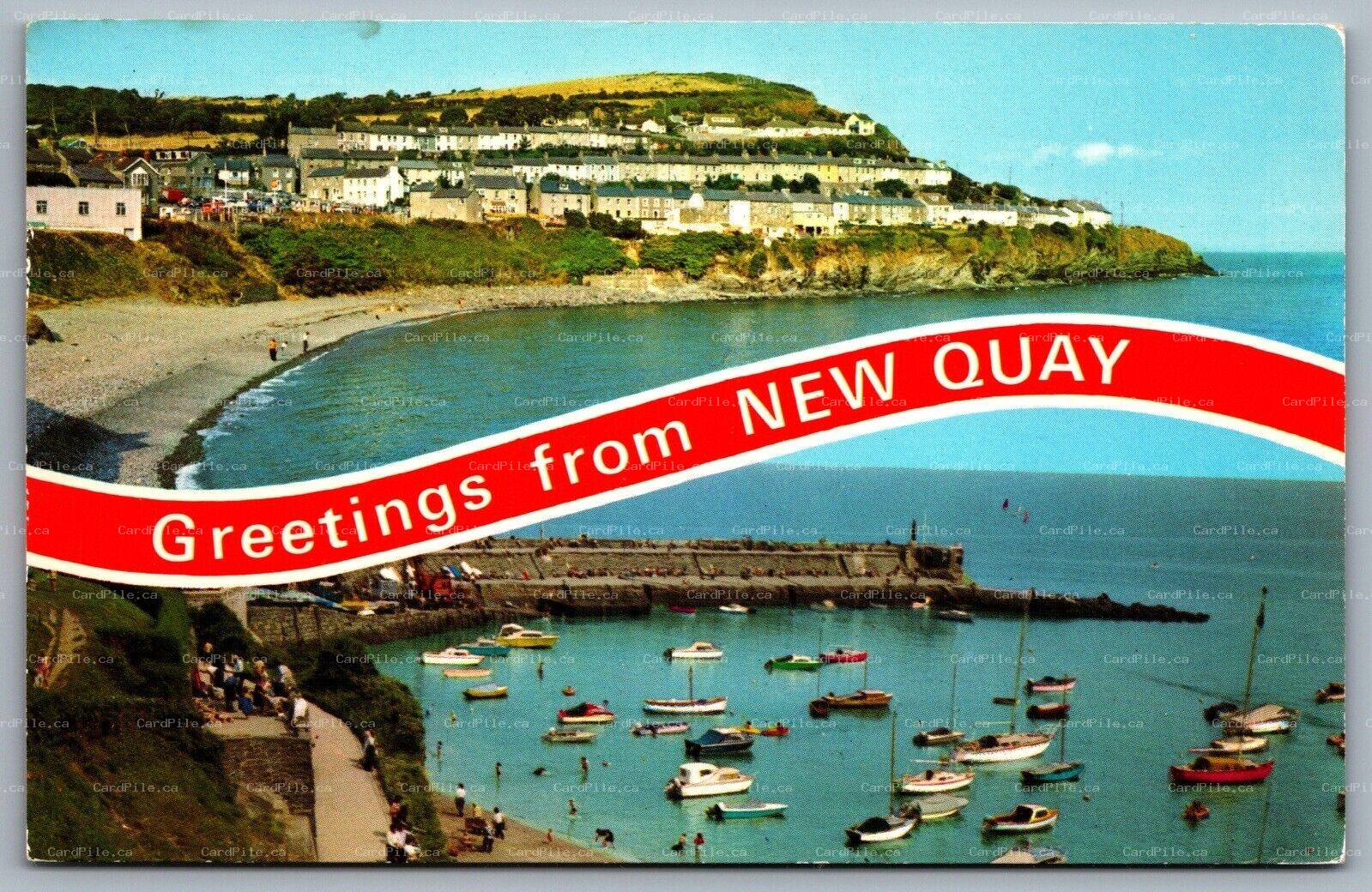 Postcard New Quay UK c1983 Greetings from New Quay Dual View Harbour